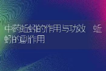 中药蚯蚓的作用与功效 蚯蚓的副作用