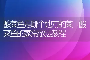 酸菜鱼是哪个地方的菜 酸菜鱼的家常做法教程