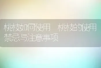 桃枝如何使用 桃枝的使用禁忌与注意事项