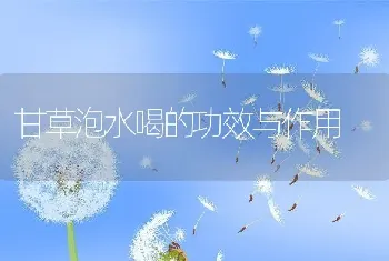 甘草泡水喝的功效与作用