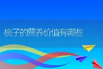 桃子的营养价值有哪些