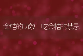 金桔的功效 吃金桔的禁忌