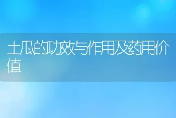 土瓜的功效与作用及药用价值