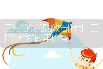 三月泡根的功效与作用 三月泡根的药用价值