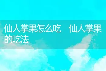 仙人掌果怎么吃 仙人掌果的吃法