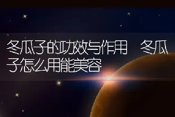 冬瓜子的功效与作用 冬瓜子怎么用能美容