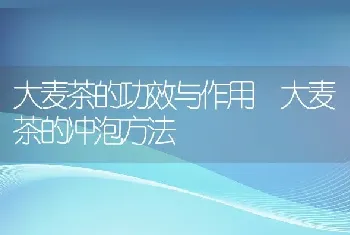 大麦茶的功效与作用 大麦茶的冲泡方法