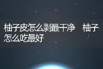 柚子皮怎么剥最干净 柚子怎么吃最好