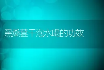 黑桑葚干泡水喝的功效