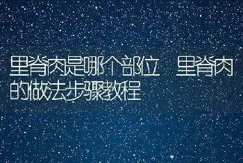 里脊肉是哪个部位 里脊肉的做法步骤教程