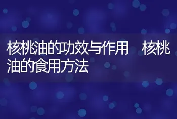 核桃油的功效与作用 核桃油的食用方法