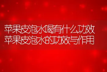 苹果皮泡水喝有什么功效 苹果皮泡水的功效与作用