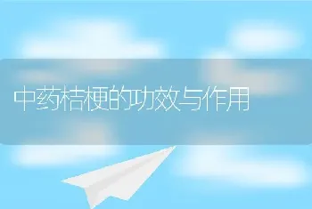 中药桔梗的功效与作用