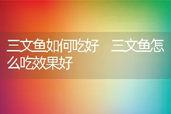 三文鱼如何吃好 三文鱼怎么吃效果好