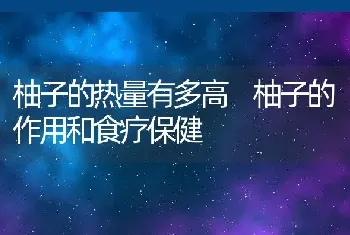 柚子的热量有多高 柚子的作用和食疗保健