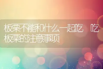 板栗不能和什么一起吃 吃板栗的注意事项