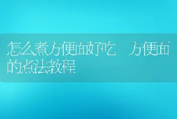 怎么煮方便面好吃 方便面的煮法教程