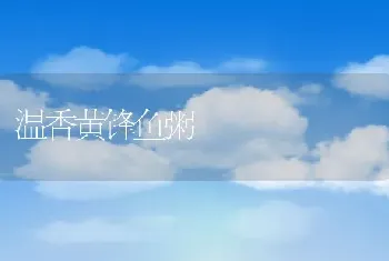 温香黄锋鱼粥