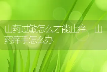 山药过敏怎么才能止痒 山药痒手怎么办