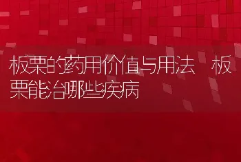 板栗的药用价值与用法 板栗能治哪些疾病