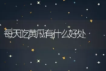 每天吃黄瓜有什么好处