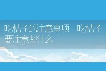 吃桔子的注意事项 吃桔子要注意些什么