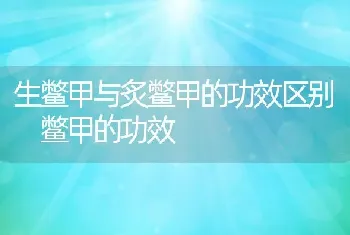 生鳖甲与炙鳖甲的功效区别 鳖甲的功效