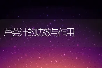 芦荟汁的功效与作用