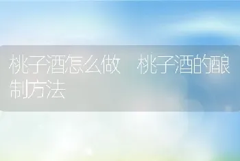 青星美人的养殖方法与注意事项