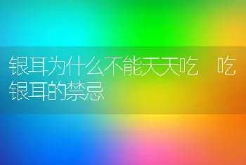 银耳为什么不能天天吃 吃银耳的禁忌