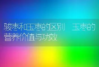 骏枣和玉枣的区别 玉枣的营养价值与功效