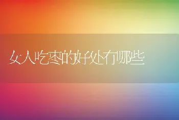 女人吃枣的好处有哪些