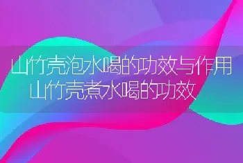 山竹壳泡水喝的功效与作用 山竹壳煮水喝的功效