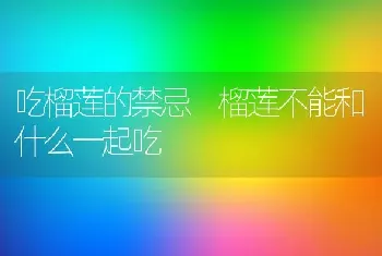 吃榴莲的禁忌 榴莲不能和什么一起吃