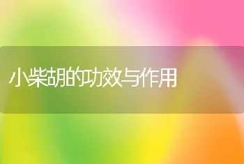 小柴胡的功效与作用