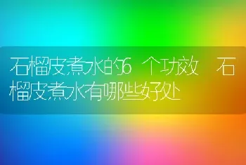 石榴皮煮水的6个功效 石榴皮煮水有哪些好处