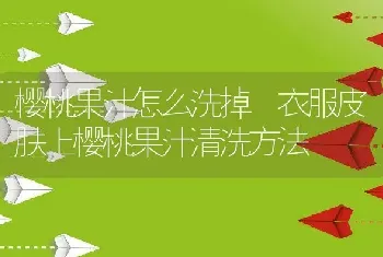 樱桃果汁怎么洗掉 衣服皮肤上樱桃果汁清洗方法