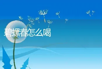 碧螺春怎么喝