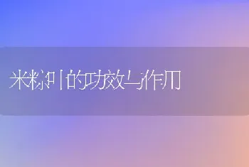 米粽叶的功效与作用