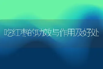 吃红枣的功效与作用及好处