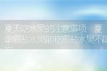 夏天吃水果的注意事项 夏季哪些水果能吃哪些水果不能吃