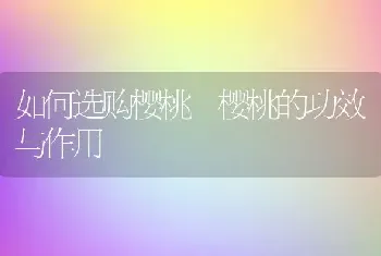 如何选购樱桃 樱桃的功效与作用