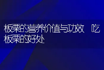 板栗的营养价值与功效 吃板栗的好处