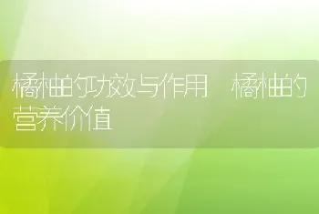 橘柚的功效与作用 橘柚的营养价值