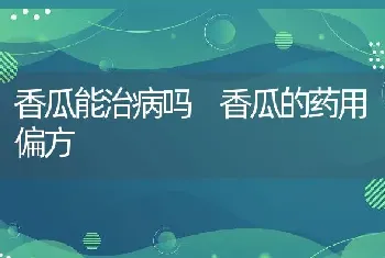 香瓜能治病吗 香瓜的药用偏方