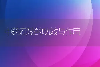 中药忍陵的功效与作用