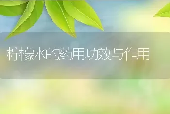 柠檬水的药用功效与作用