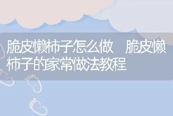 脆皮懒柿子怎么做 脆皮懒柿子的家常做法教程