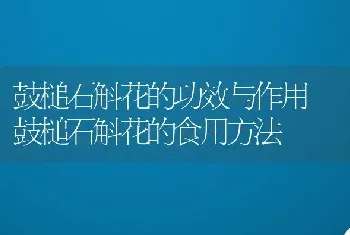 鼓槌石斛花的功效与作用 鼓槌石斛花的食用方法