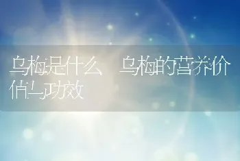 乌梅是什么 乌梅的营养价值与功效